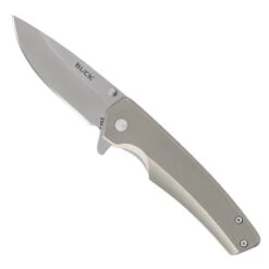 Buck Knives Buck Odessa Stainless Steel Frame Lock Knife