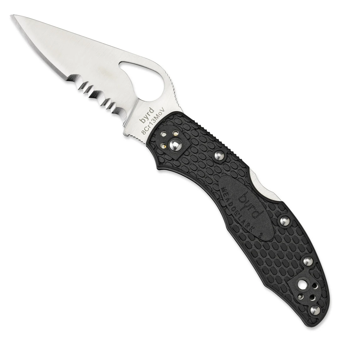 Byrd Meadowlark 2 Folder Knife, Satin Combo Blade